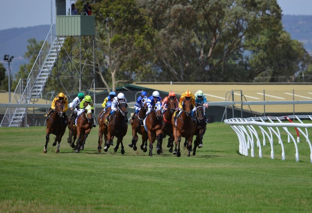 Course hippique sur un hippodrome, chevaux et jockeys en peloton
